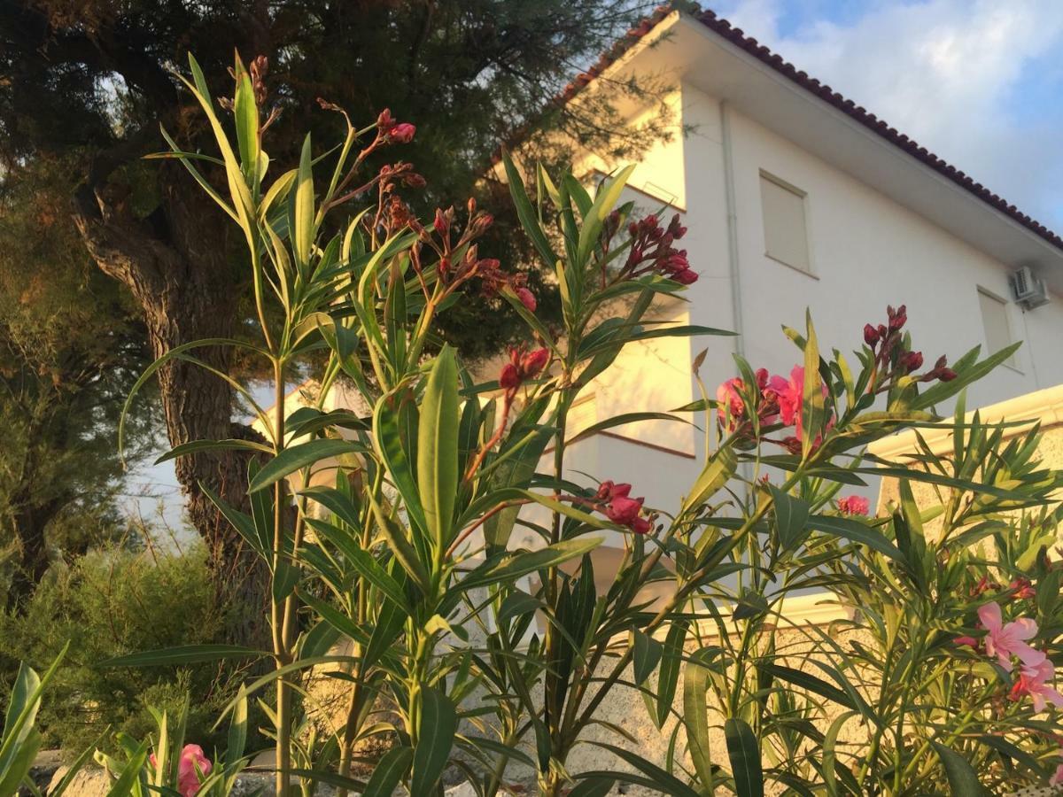 Rivamare Campora Casa Vacanze Campora San Giovanni Eksteriør bilde